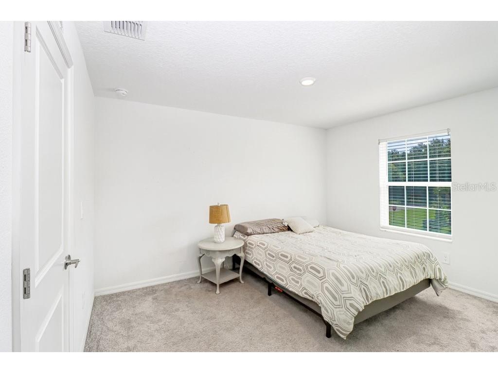 10263 Trumpet Honetsuckle Way San Antonio FL 33576 TB8532216 image26