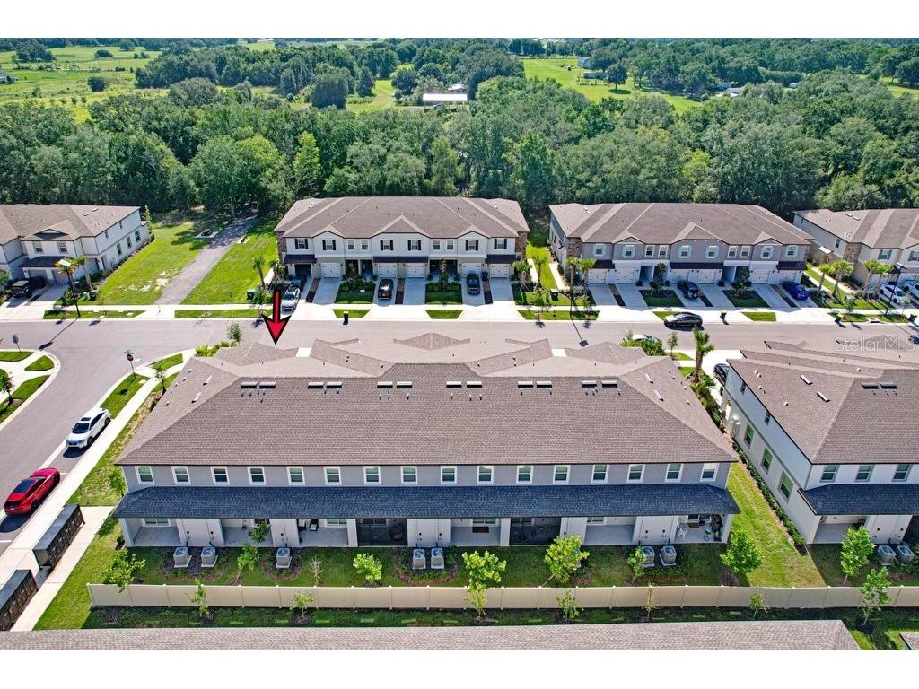 10263 Trumpet Honetsuckle Way San Antonio FL 33576 TB8532216 image6