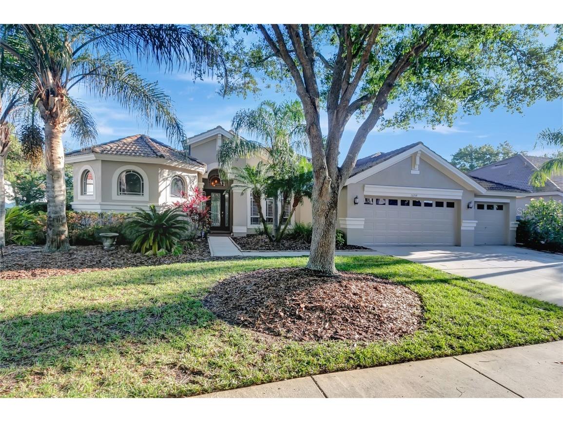 10264 Estuary Drive Tampa FL 33647 T3435448 image1