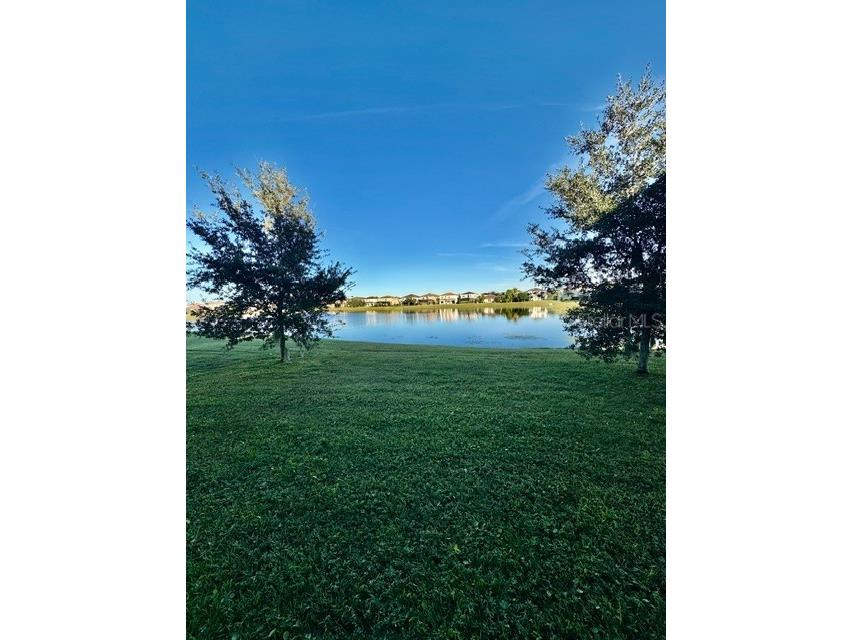 10264 Henbury Street Orlando FL 32832 O6359784 image35