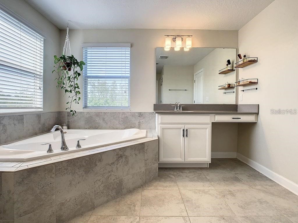 10264 Love Story Street Winter Garden FL 34787 O6409005 image23