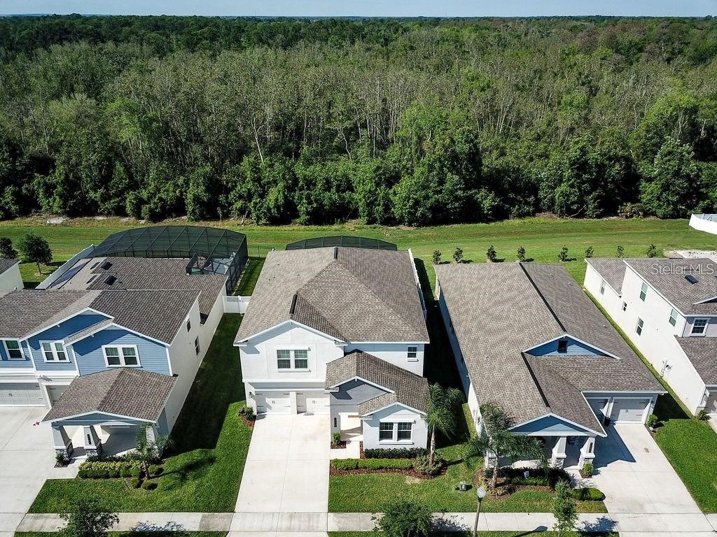 10264 Love Story Street Winter Garden FL 34787 O6409005 image29