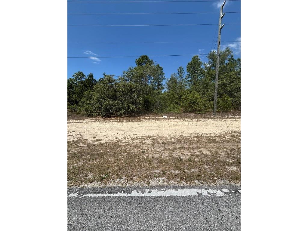 10264 N Elkcam Boulevard Citrus Springs FL 34433 O6303496 image1