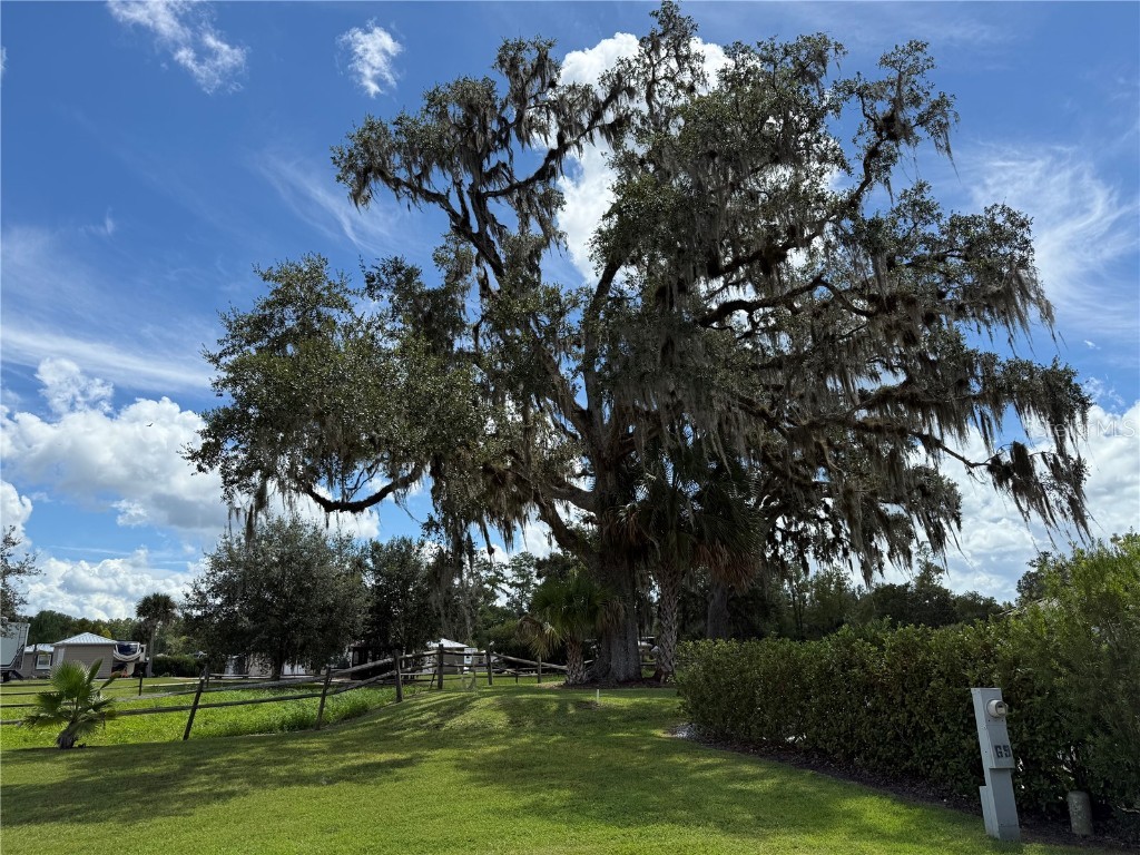 10264 NE 28th Loop Silver Springs FL 34488 O6343296 image10