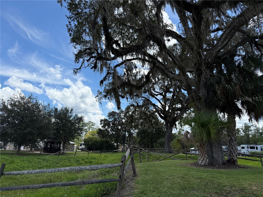 10264 NE 28th Loop Silver Springs FL 34488 O6343296 image11