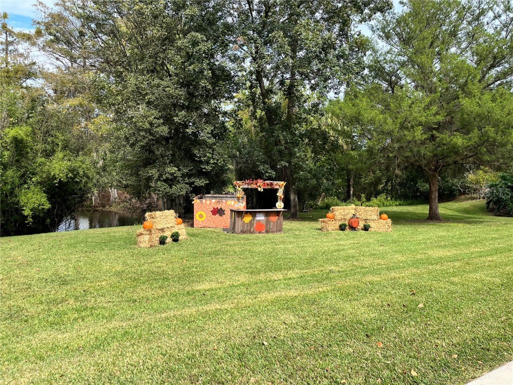 10264 NE 28th Loop Silver Springs FL 34488 O6343296 image34