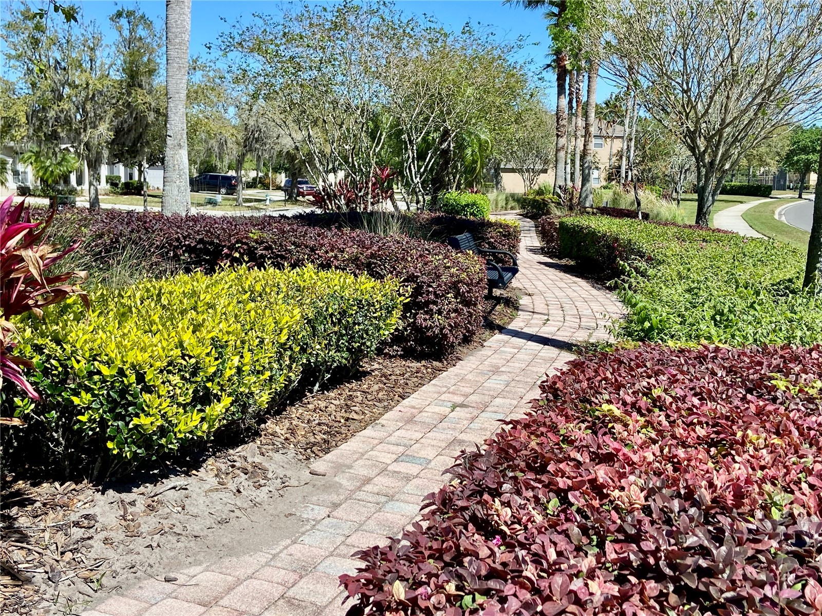 10264 Oak Crest Road Orlando FL 32829 O6405315 image29