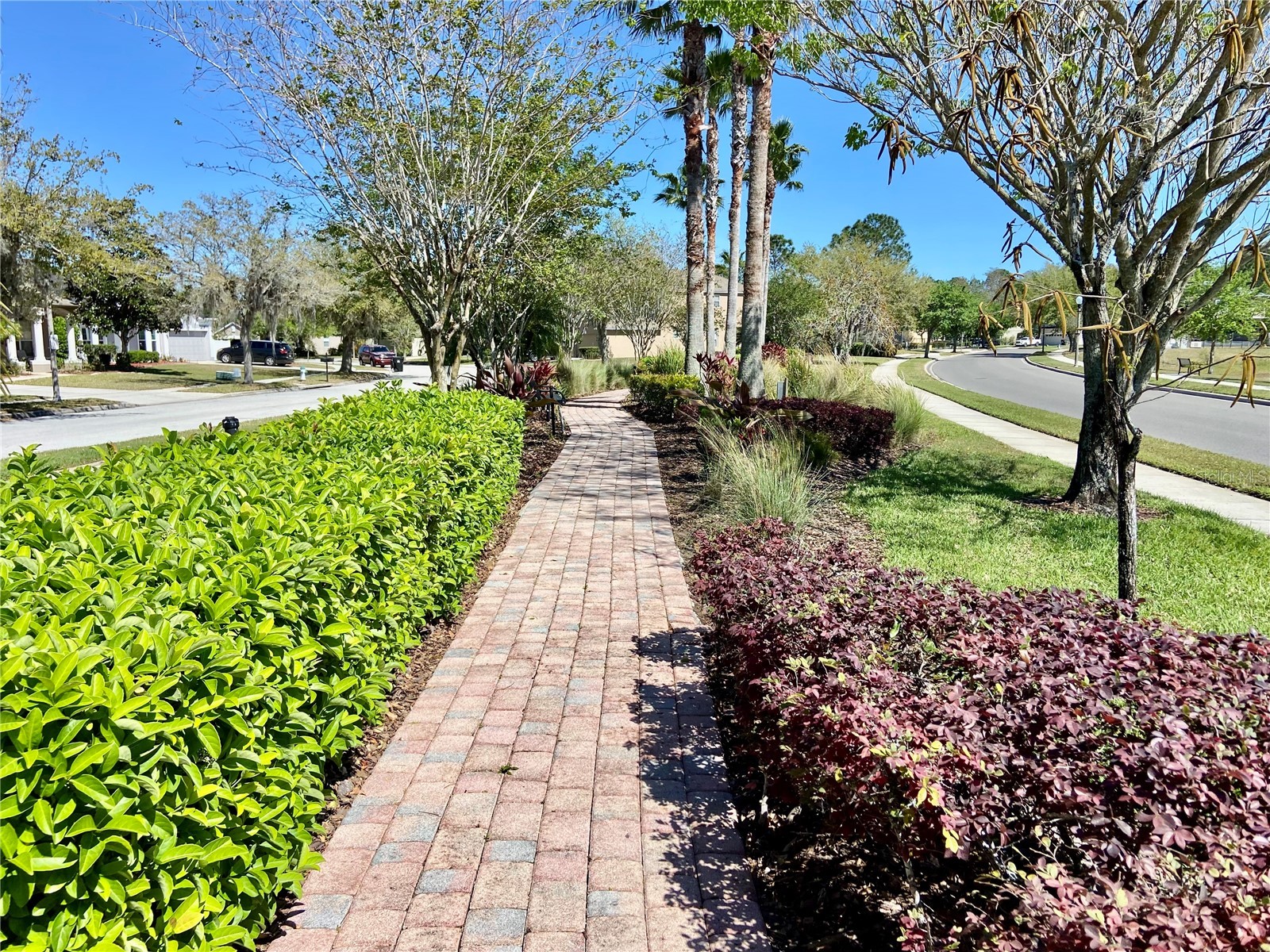 10264 Oak Crest Road Orlando FL 32829 O6405315 image30