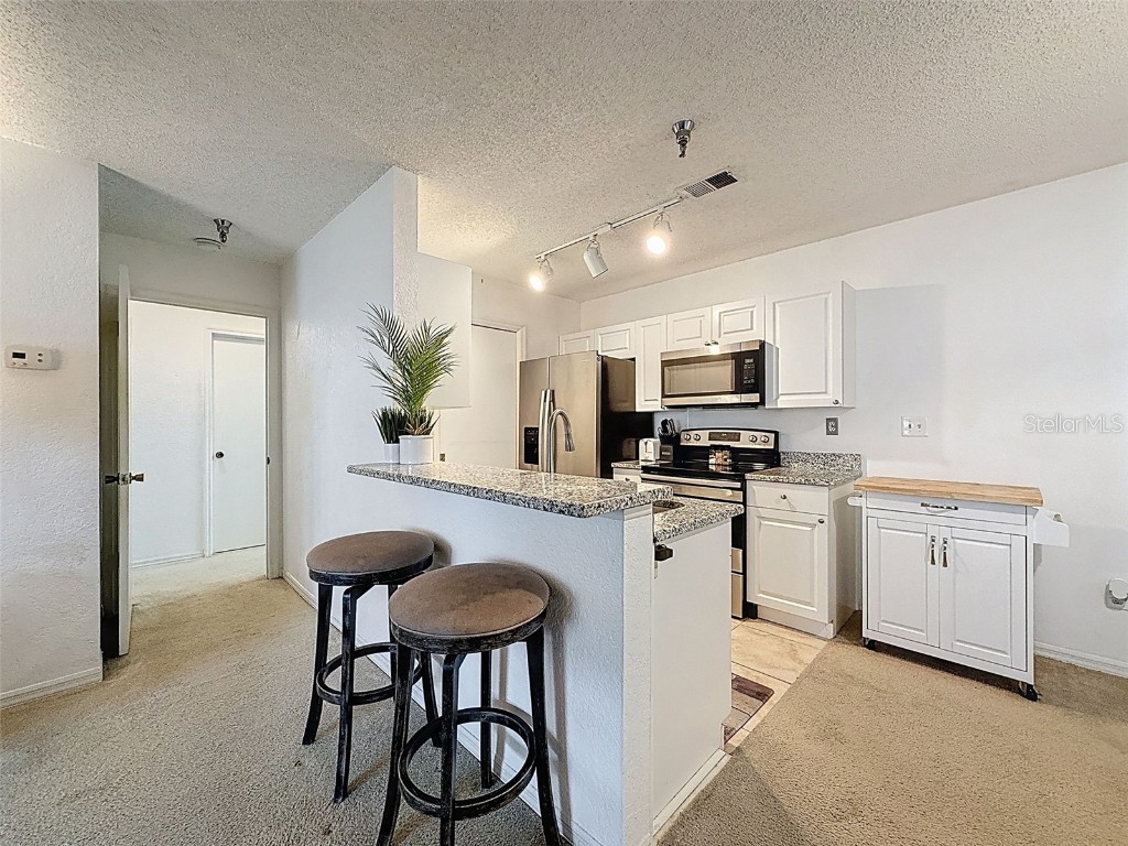 10265 Gandy Blvd N #1411 Saint Petersburg FL 33702 O6347088 image11