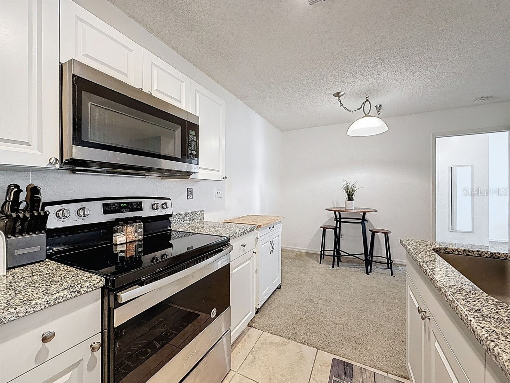 10265 Gandy Blvd N #1411 Saint Petersburg FL 33702 O6347088 image16