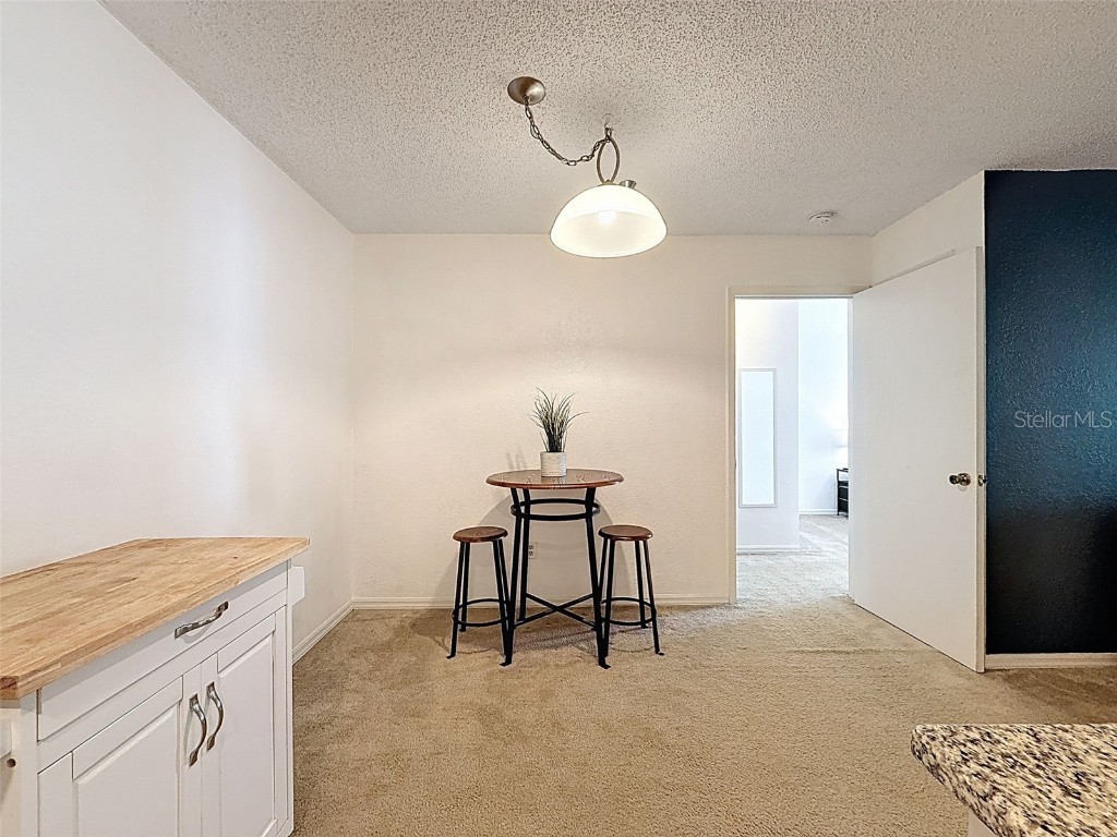 10265 Gandy Blvd N #1411 Saint Petersburg FL 33702 O6347088 image17