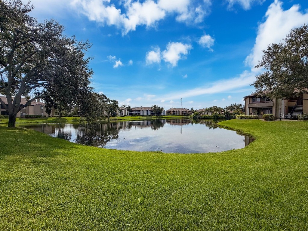 10265 Gandy Blvd N #1411 Saint Petersburg FL 33702 O6347088 image39