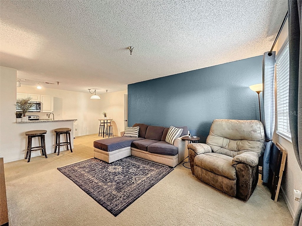 10265 Gandy Blvd N #1411 Saint Petersburg FL 33702 O6347088 image9