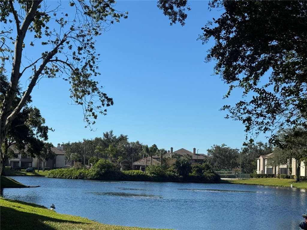 10265 Gandy Boulevard N #1001 Saint Petersburg FL 33702 TB8444966 image21