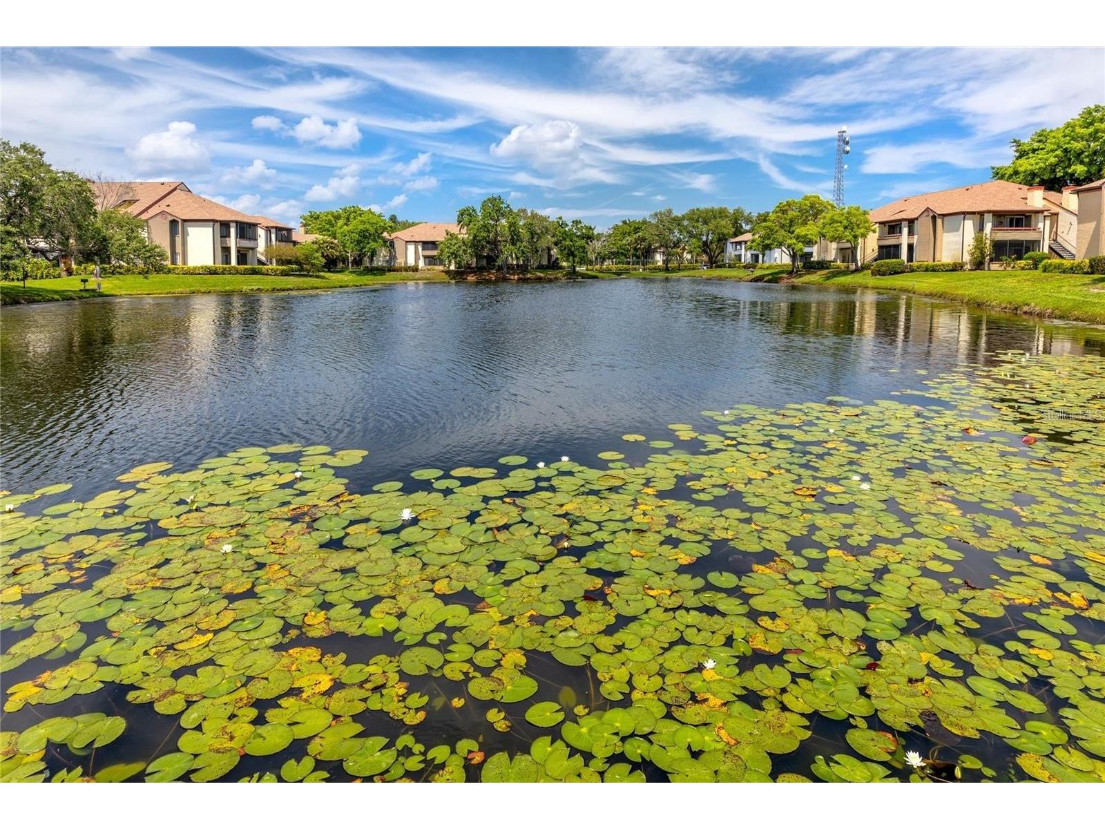 10265 Gandy Boulevard N #1002 Saint Petersburg FL 33702 TB8506789 image89