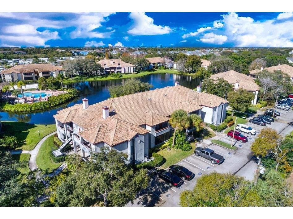 10265 Gandy Boulevard N #1010 Saint Petersburg FL 33702 U8209193 image1