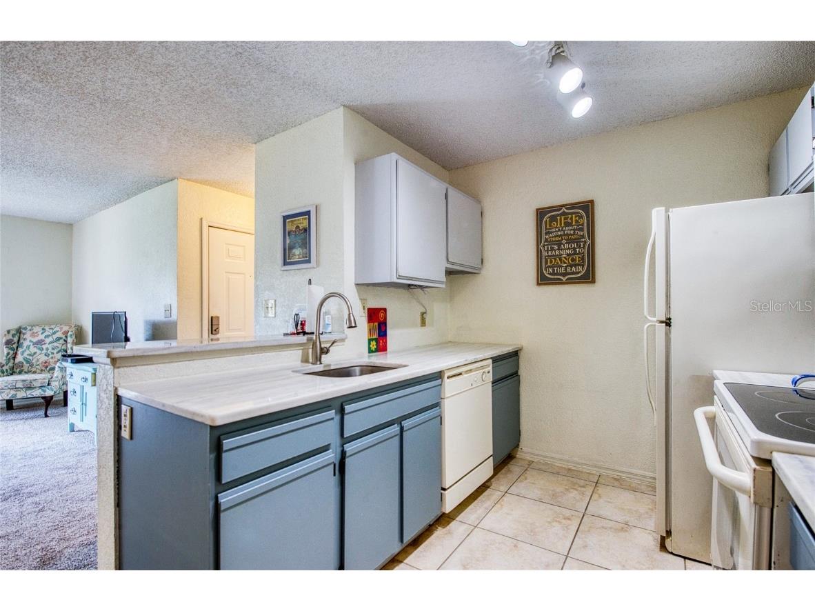 10265 Gandy Boulevard N #1103 Saint Petersburg FL 33702 TB8415207 image11