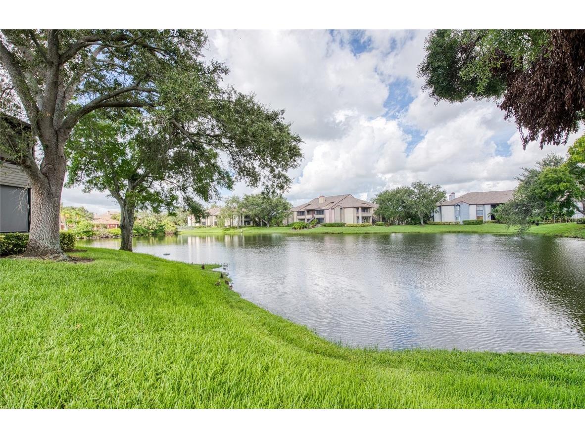 10265 Gandy Boulevard N #1103 Saint Petersburg FL 33702 TB8415207 image3