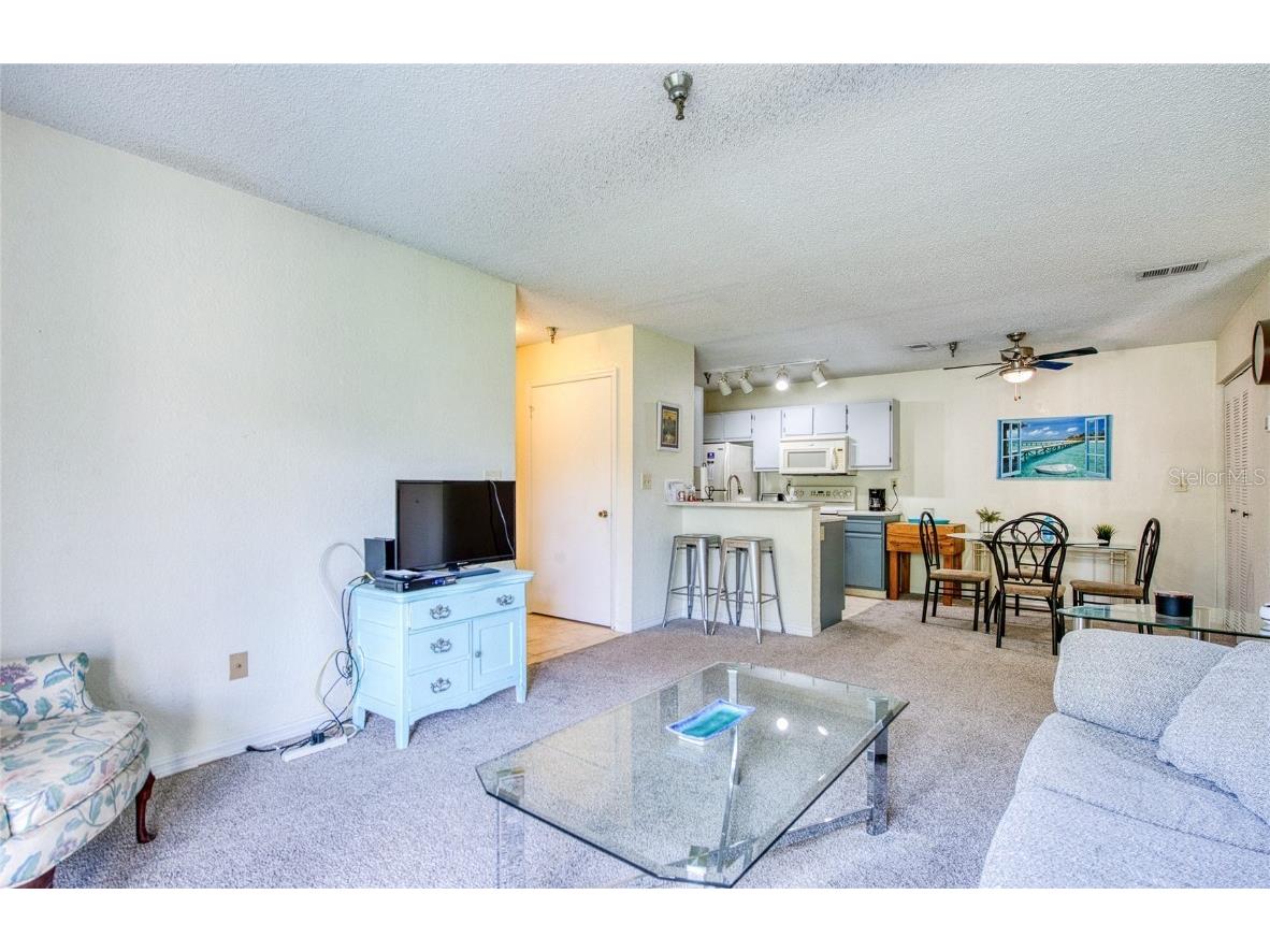 10265 Gandy Boulevard N #1103 Saint Petersburg FL 33702 TB8415207 image8