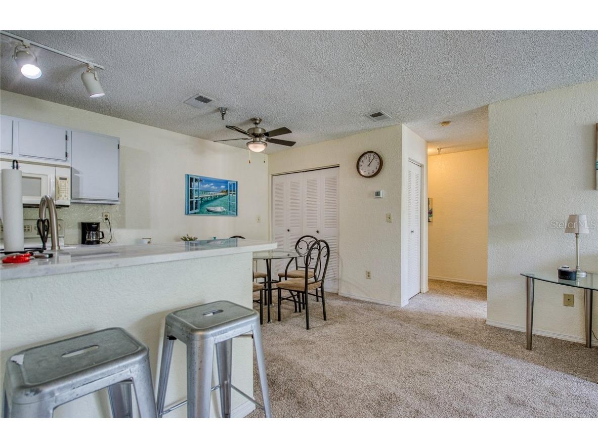 10265 Gandy Boulevard N #1103 Saint Petersburg FL 33702 TB8415207 image9