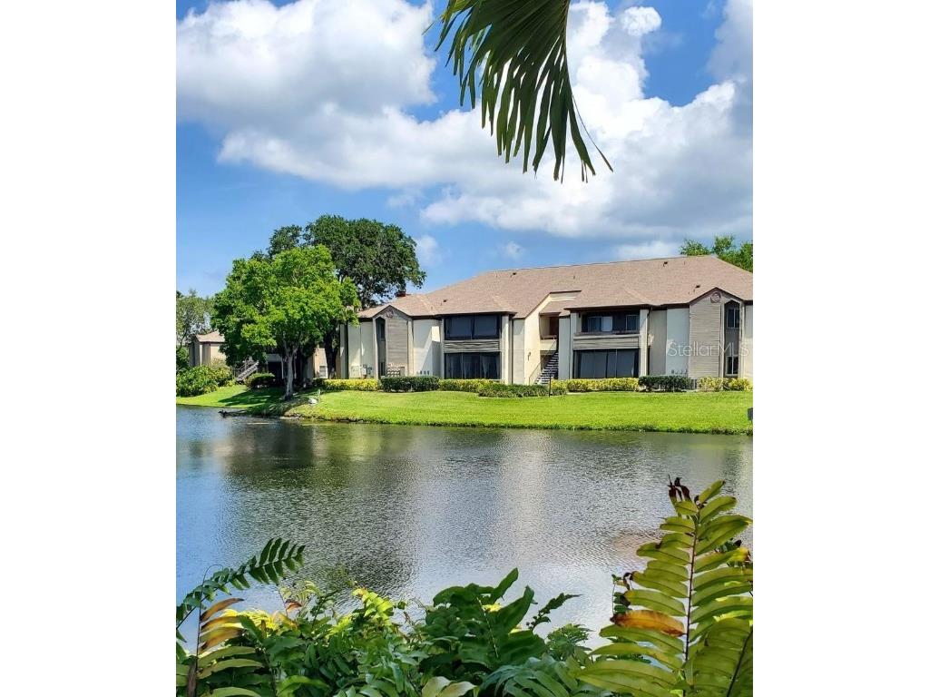 10265 Gandy Boulevard N #1112 Saint Petersburg FL 33702 U8195543 image1