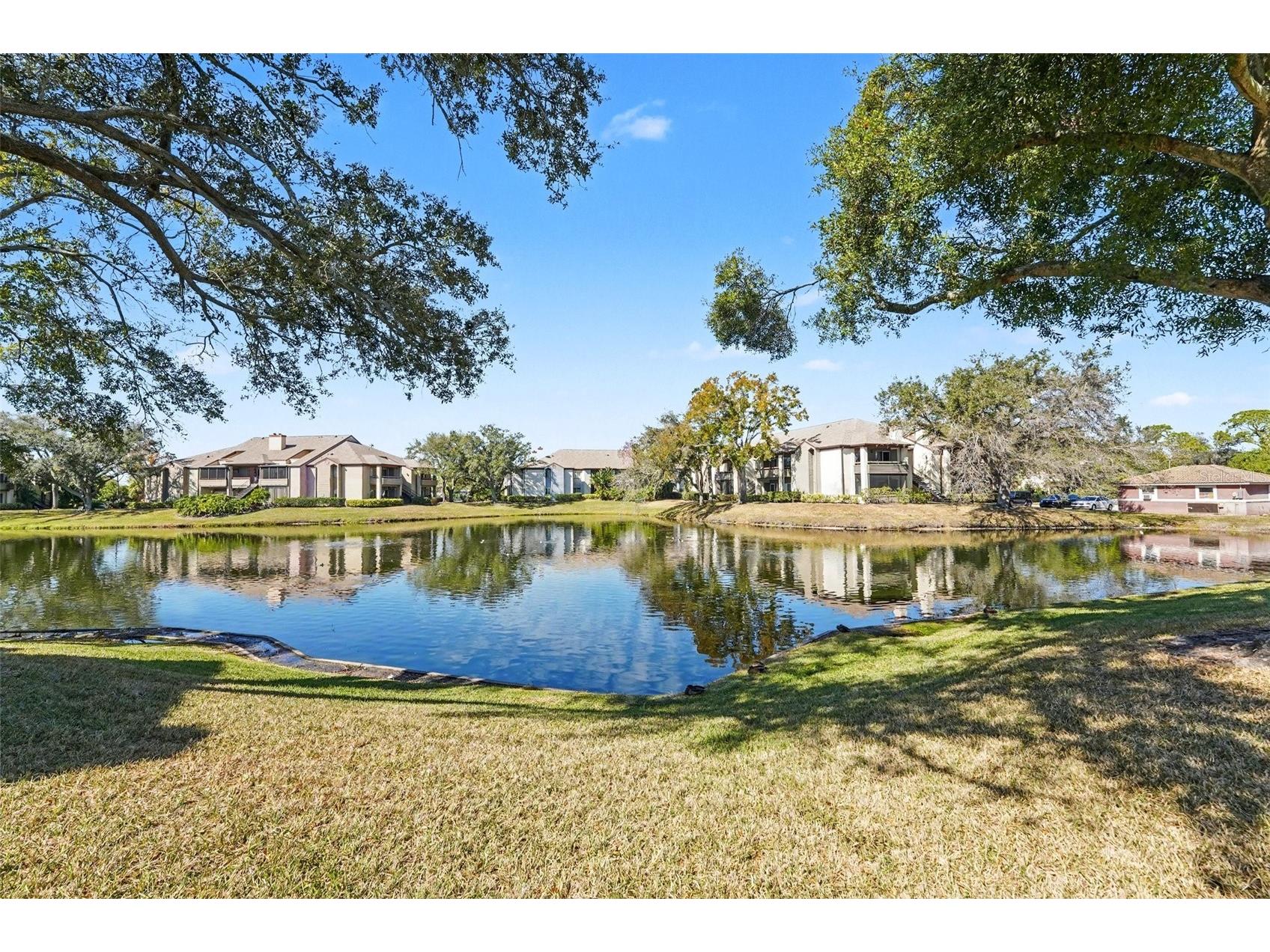 10265 Gandy Boulevard N #1202 Saint Petersburg FL 33702 TB8473308 image30