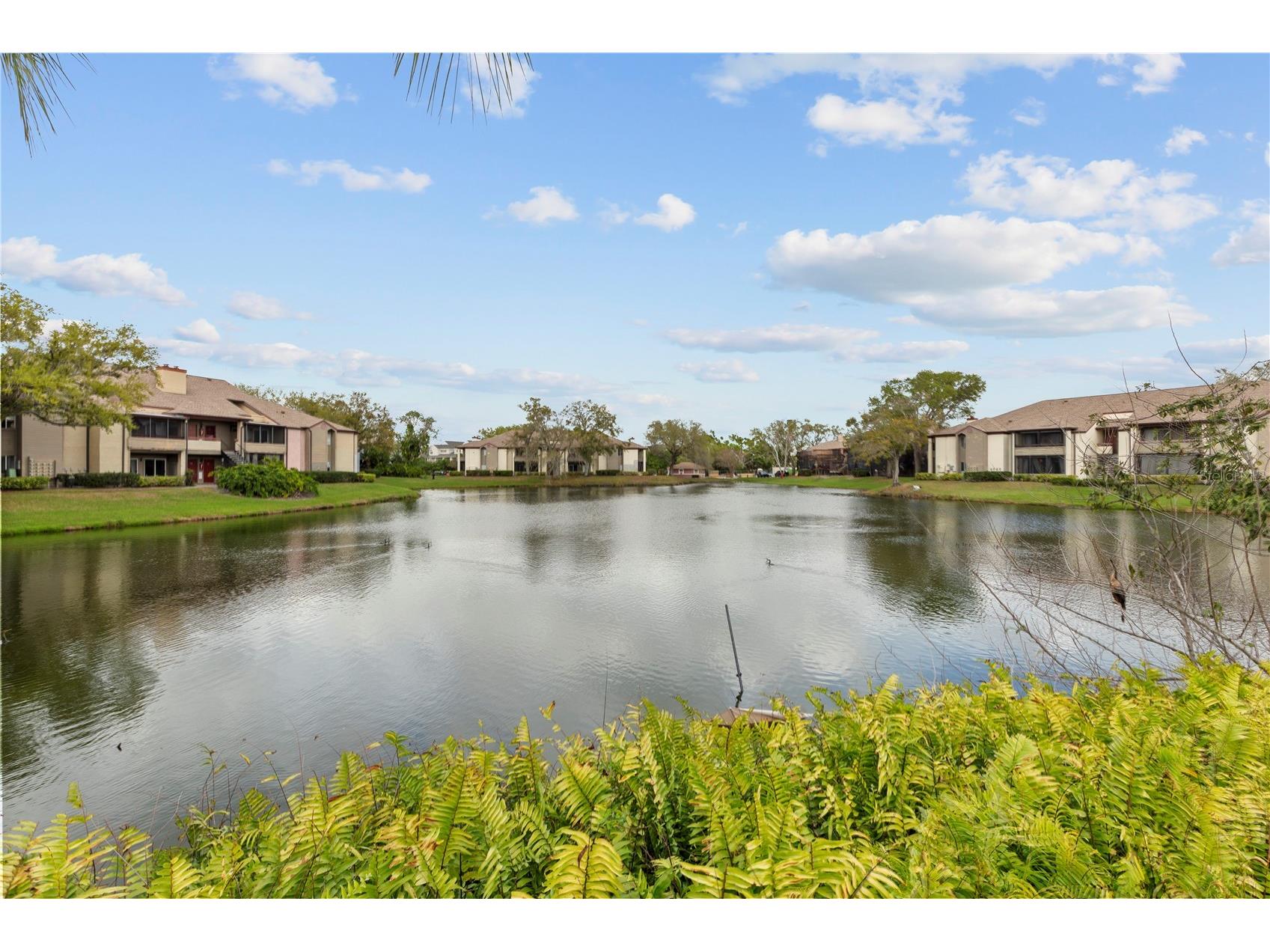 10265 Gandy Boulevard N #1401 Saint Petersburg FL 33702 A4686329 image26