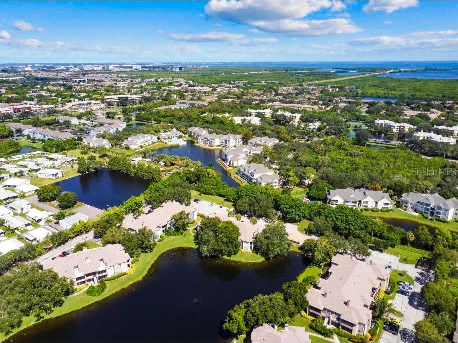 10265 Gandy Boulevard N #1405 (FURNISHED) Saint Petersburg FL 33702 U8188149 image1
