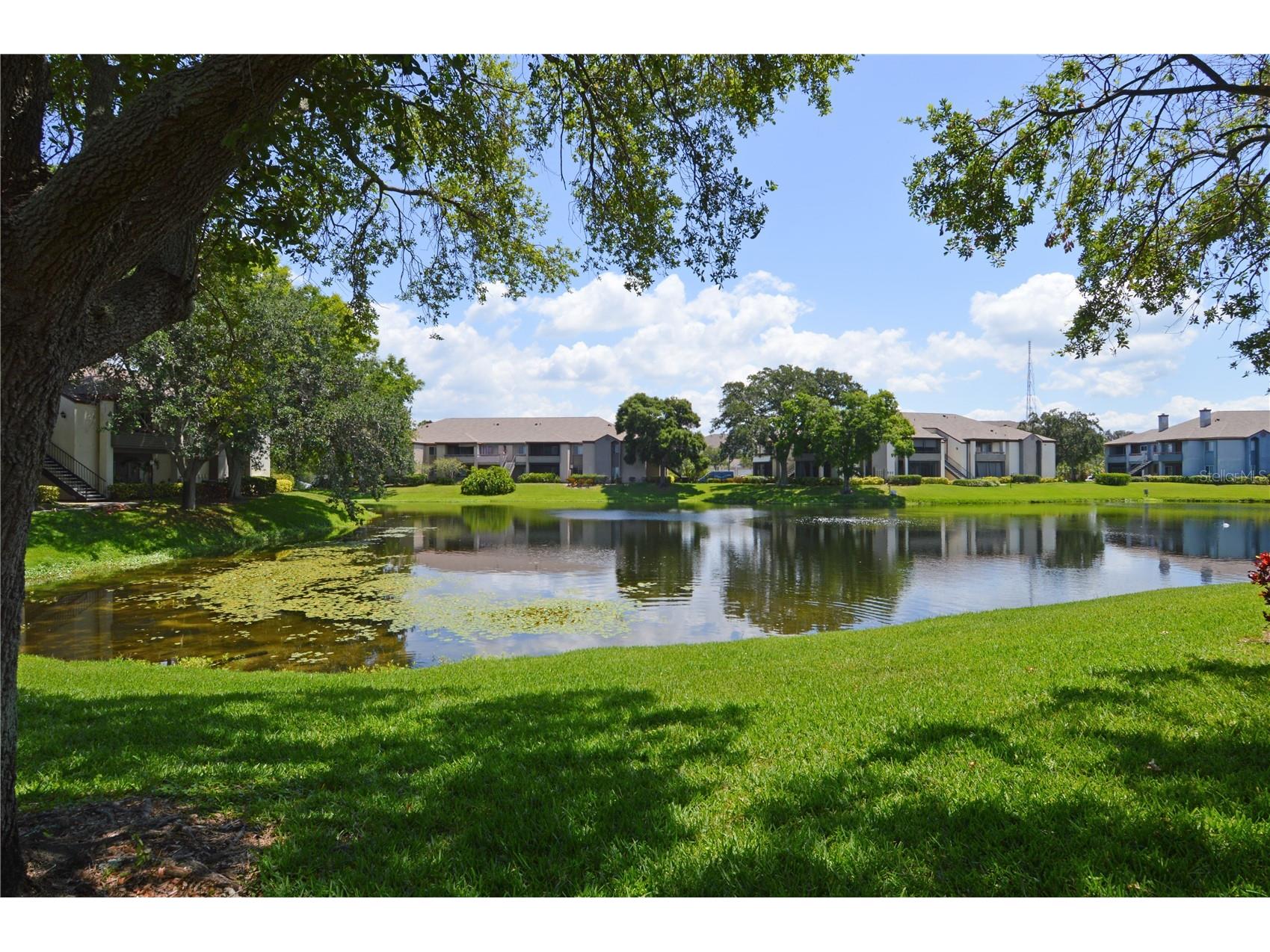 10265 Gandy Boulevard N #1405 Saint Petersburg FL 33702 TB8478115 image49