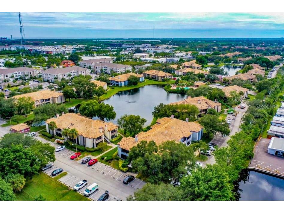 10265 Gandy Boulevard N #1405 Saint Petersburg FL 33702 TB8478115 image50