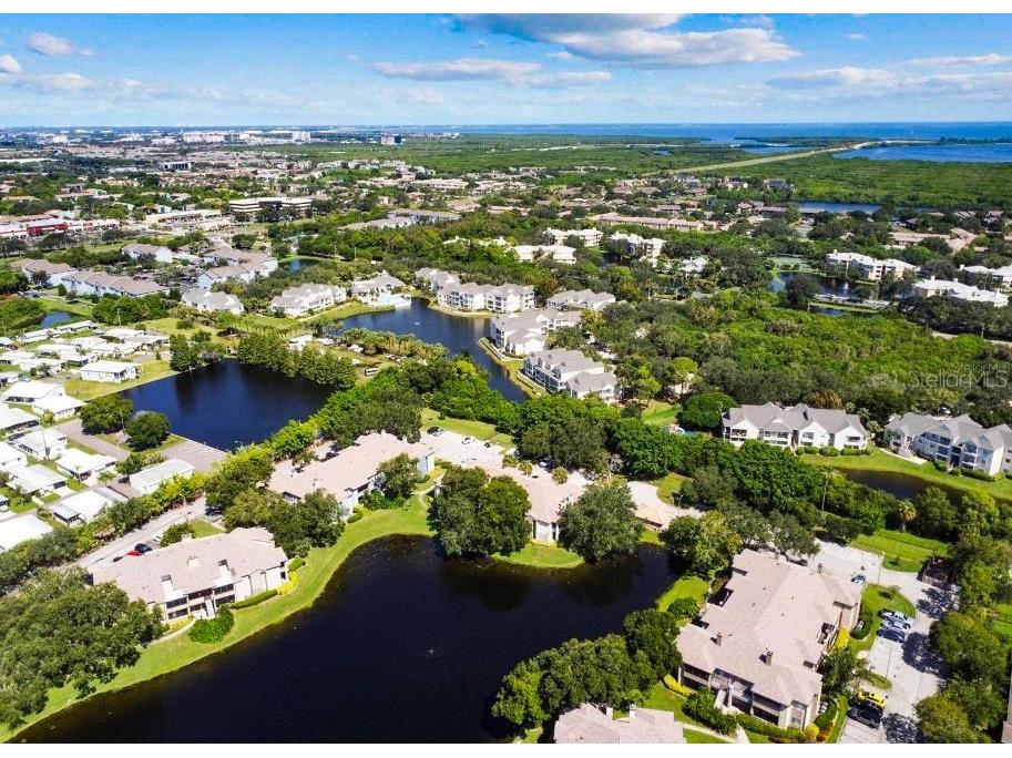 10265 Gandy Boulevard N #1407 Saint Petersburg FL 33702 U8228166 image1