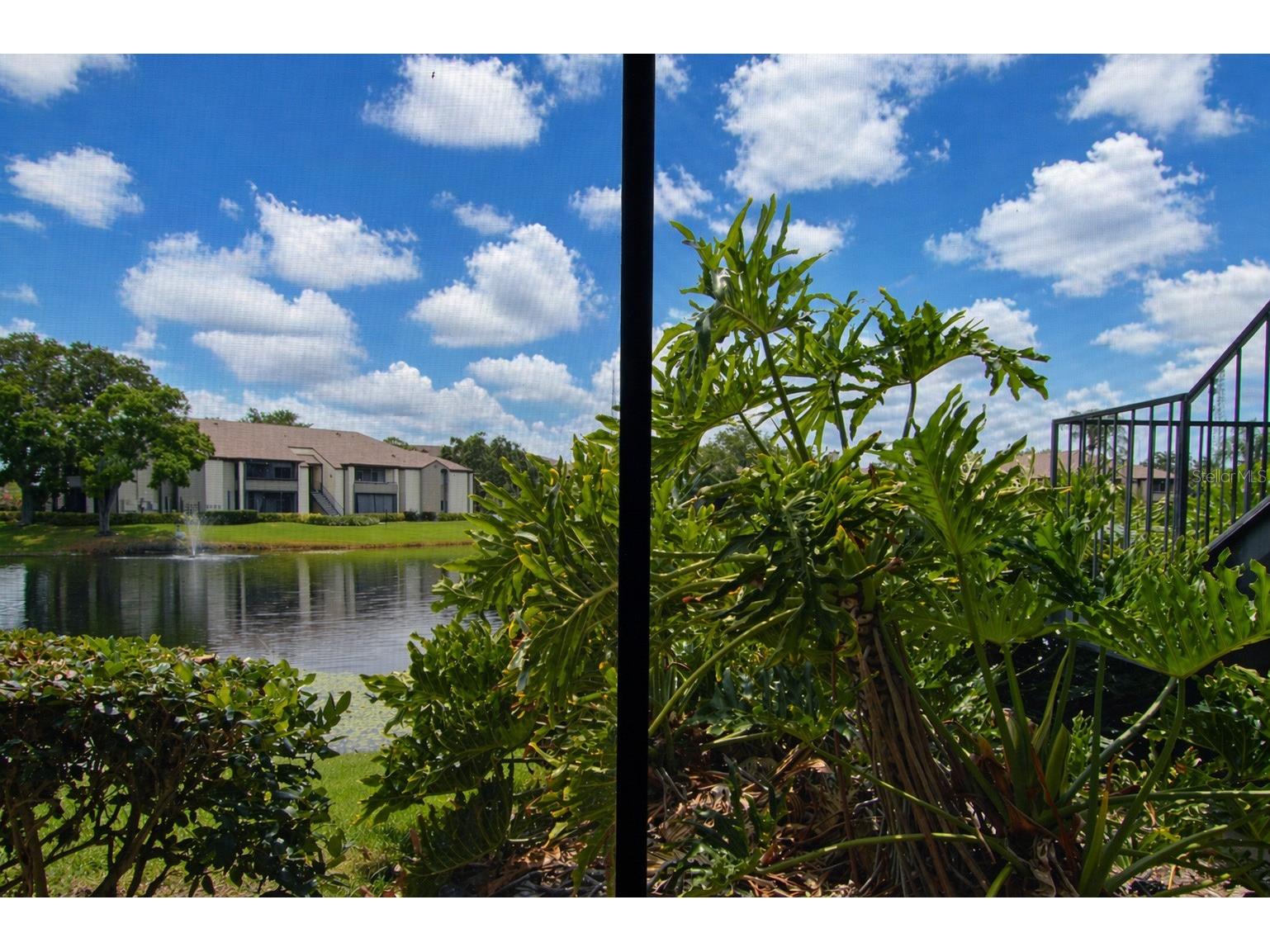 10265 Gandy Boulevard N #1511 Saint Petersburg FL 33702 TB8498967 image43