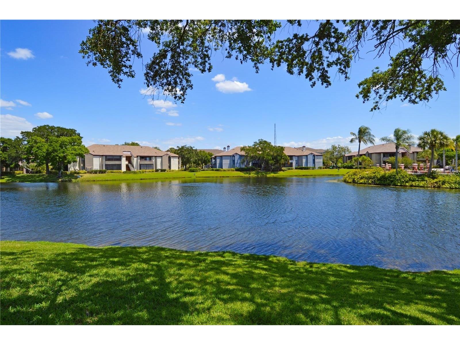 10265 Gandy Boulevard N #1511 Saint Petersburg FL 33702 TB8498967 image48