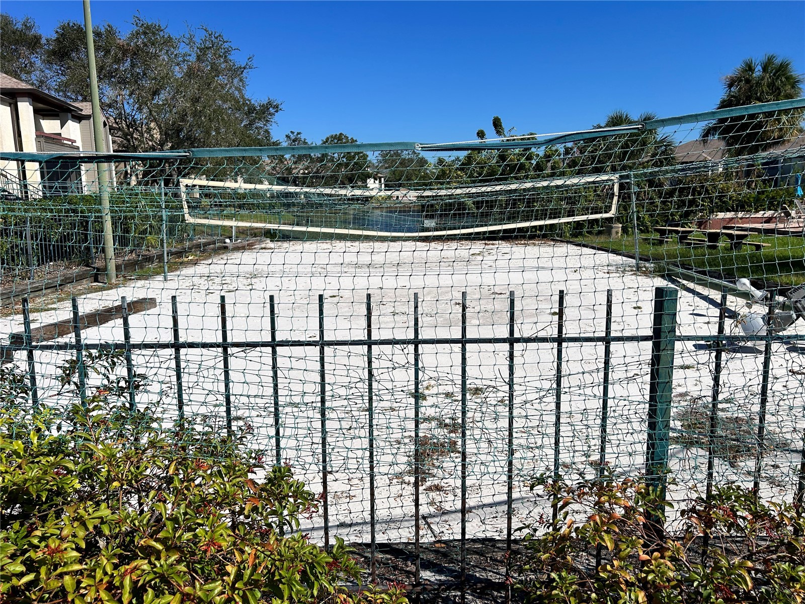 10265 Gandy Boulevard N #1603 Saint Petersburg FL 33702 TB8482293 image20