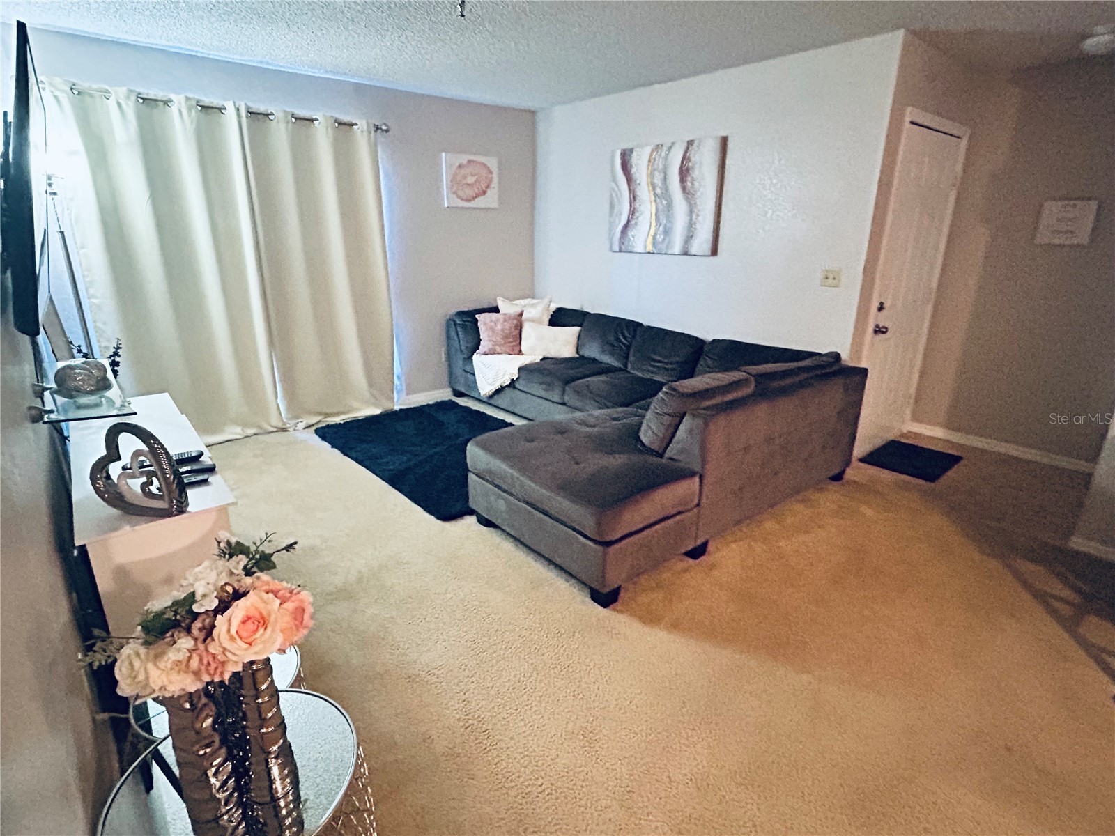 10265 Gandy Boulevard N #1603 Saint Petersburg FL 33702 TB8482293 image4