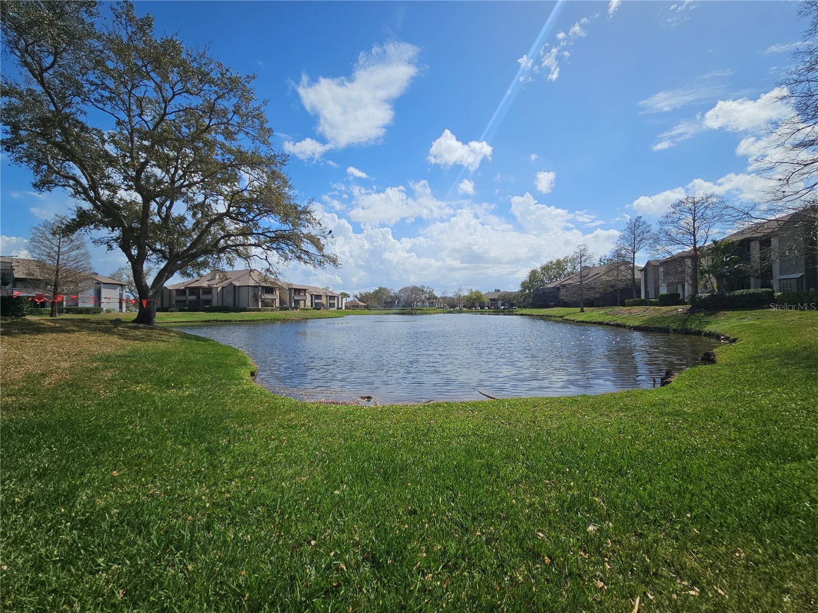 10265 Gandy Boulevard N #1701 Saint Petersburg FL 33702 TB8483291 image41