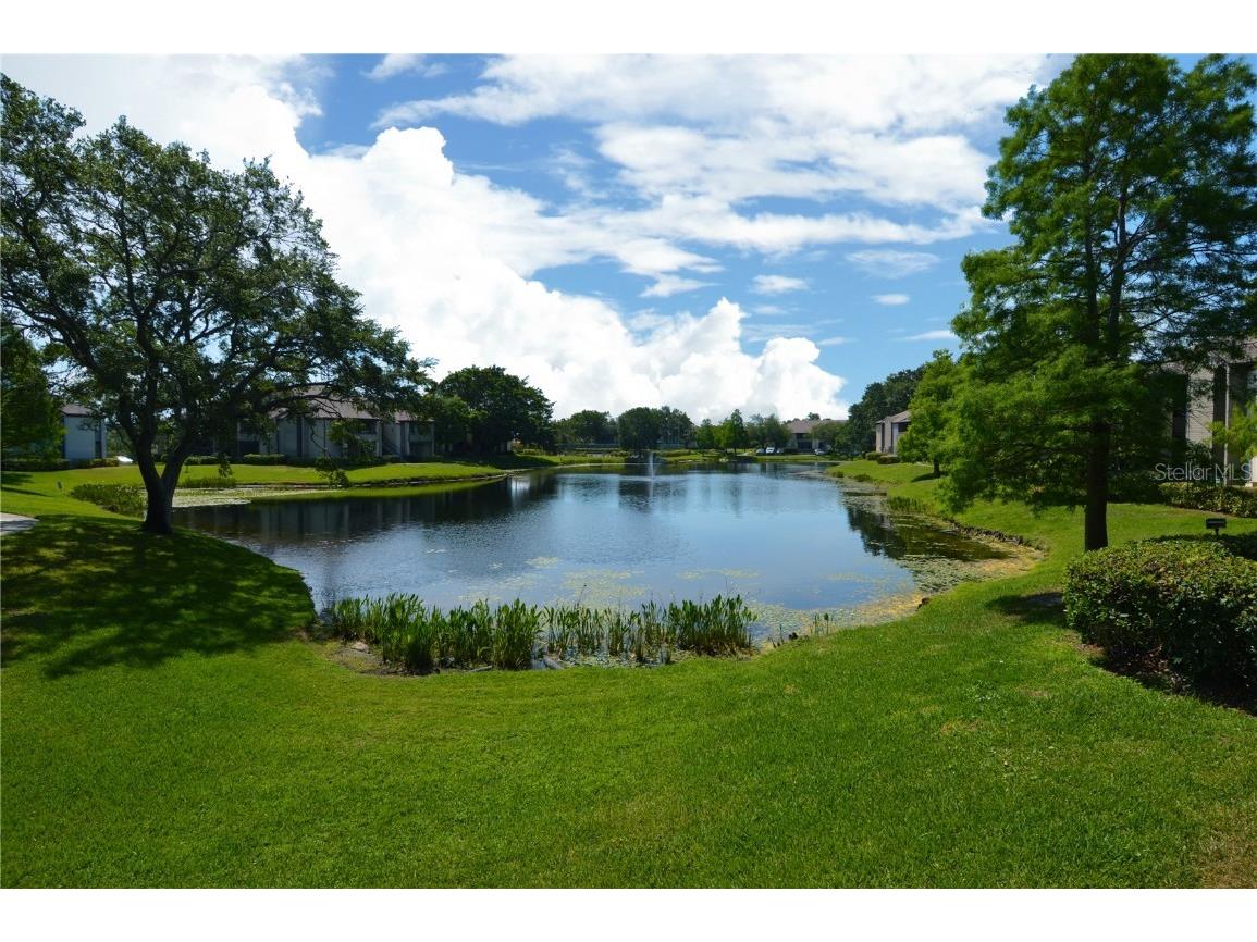 10265 Gandy Boulevard N #1711 FURNISHED Saint Petersburg FL 33702 U8206345 image1
