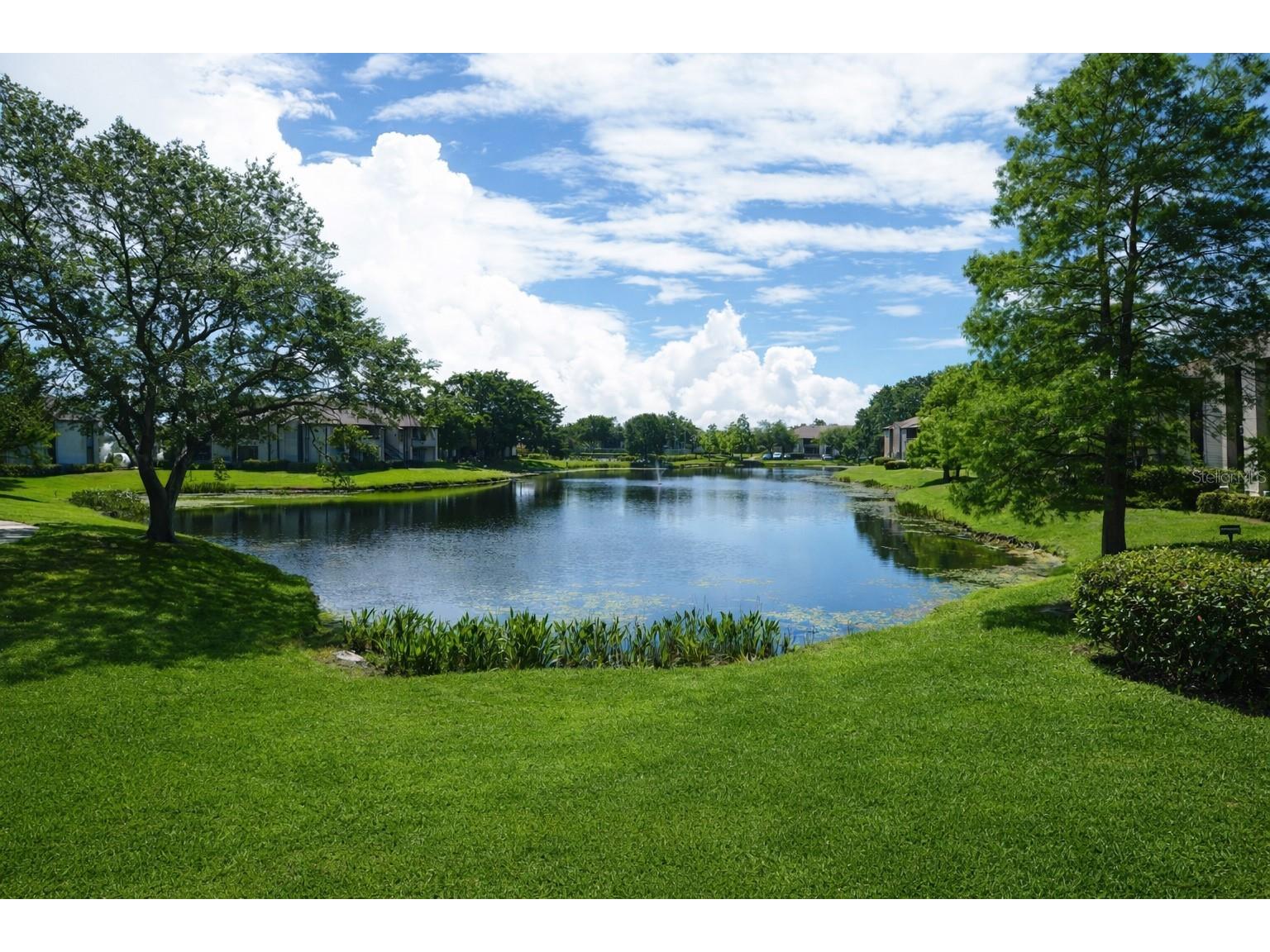 10265 Gandy Boulevard N #1711 Saint Petersburg FL 33702 TB8478275 image1