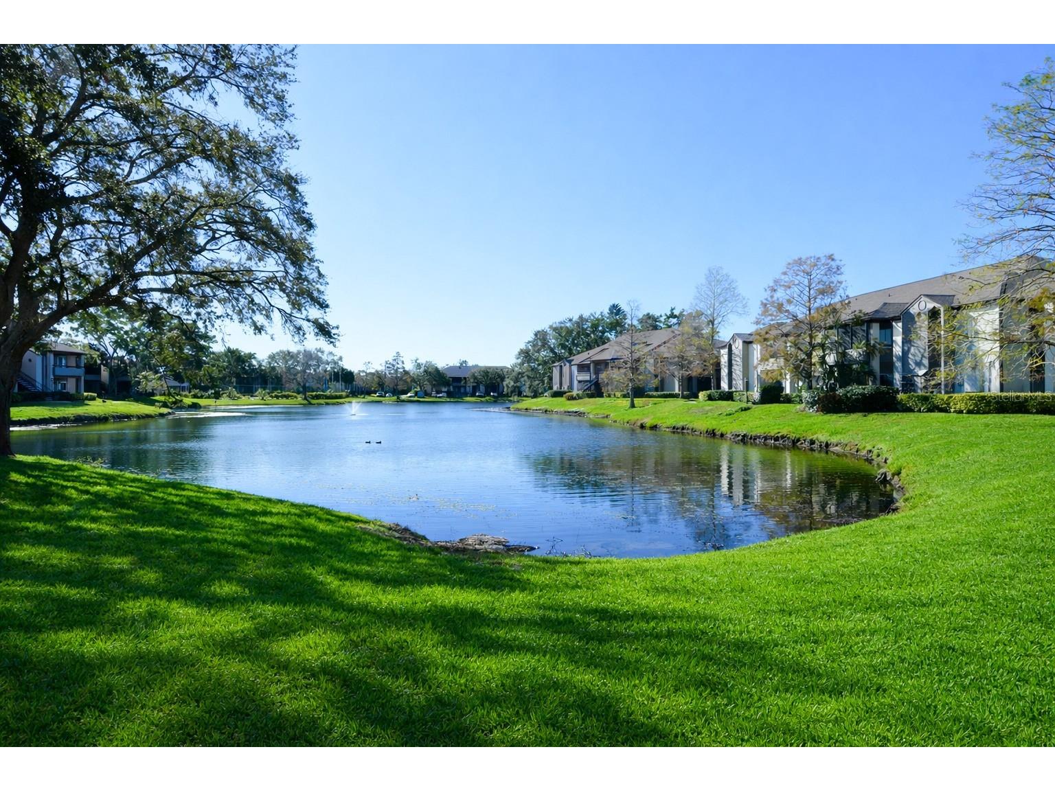 10265 Gandy Boulevard N #1711 Saint Petersburg FL 33702 TB8478275 image53