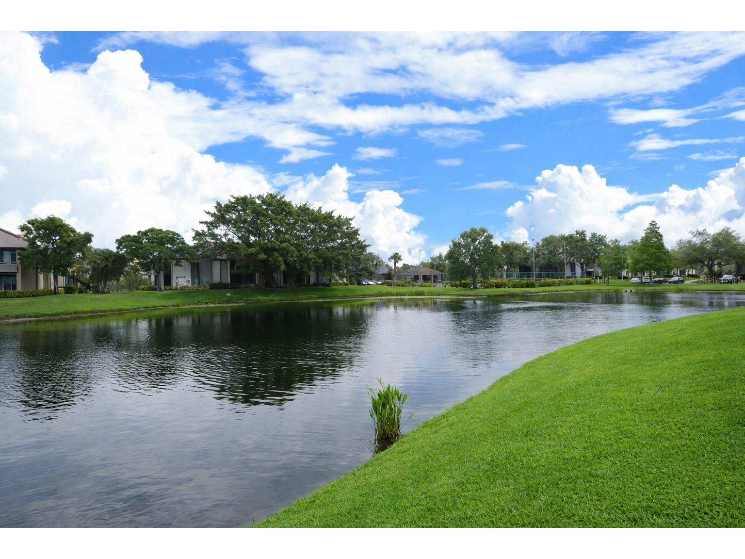 10265 Gandy Boulevard N #1711 Saint Petersburg FL 33702 TB8478275 image54