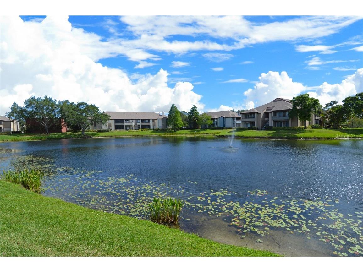 10265 Gandy Boulevard N #1801 Saint Petersburg FL 33702 TB8427241 image51