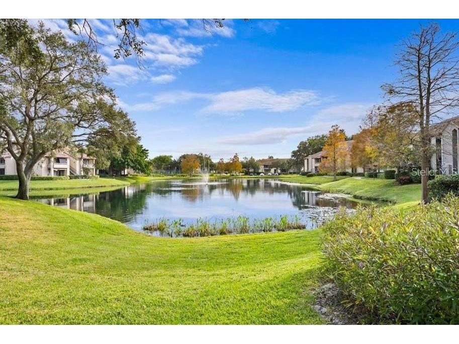 10265 Gandy Boulevard N #1801 Saint Petersburg FL 33702 TB8427241 image52