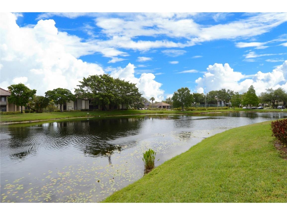 10265 Gandy Boulevard N #1801 Saint Petersburg FL 33702 TB8427241 image53