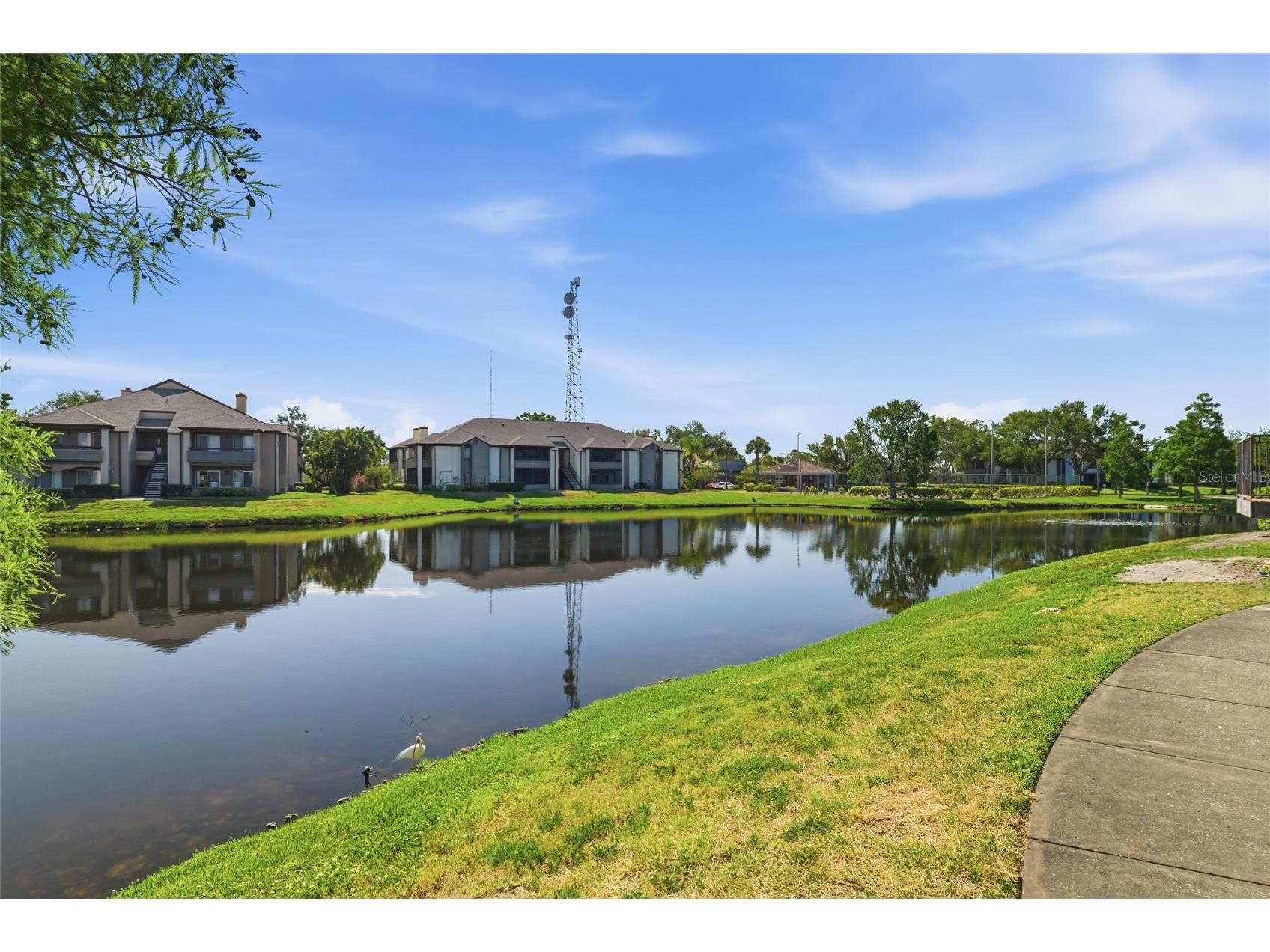 10265 Gandy Boulevard N #1806 Saint Petersburg FL 33702 TB8503486 image23