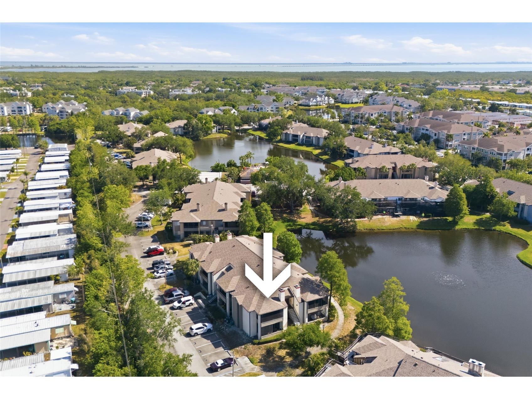 10265 Gandy Boulevard N #1806 Saint Petersburg FL 33702 TB8503486 image25