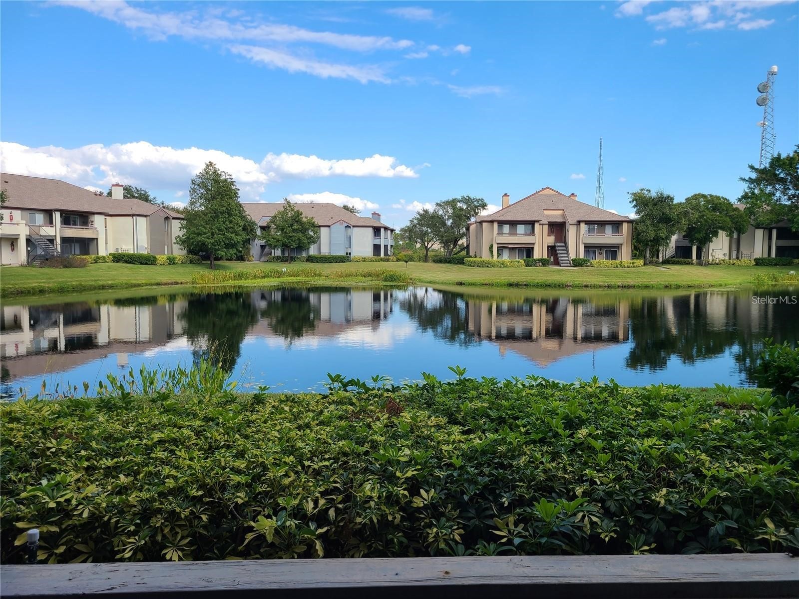 10265 Gandy Boulevard N #1809 Saint Petersburg FL 33702 TB8526293 image21