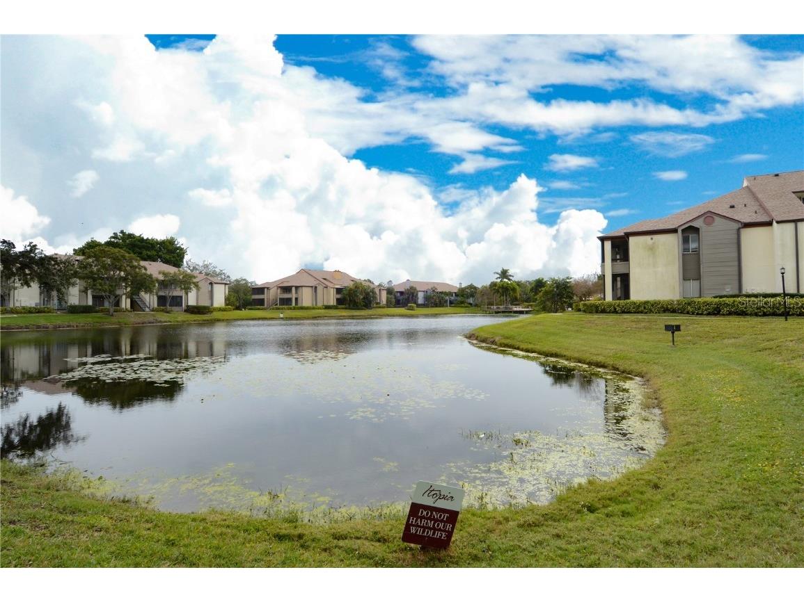 10265 Gandy Boulevard N #2211 Saint Petersburg FL 33702 U8233944 image1