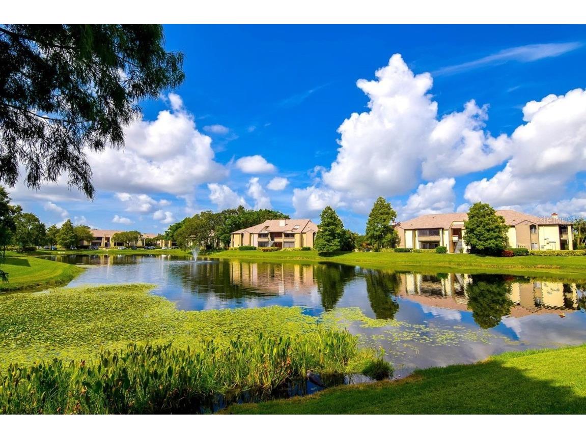 10265 Gandy Boulevard N #704 Saint Petersburg FL 33702 U8214007 image1