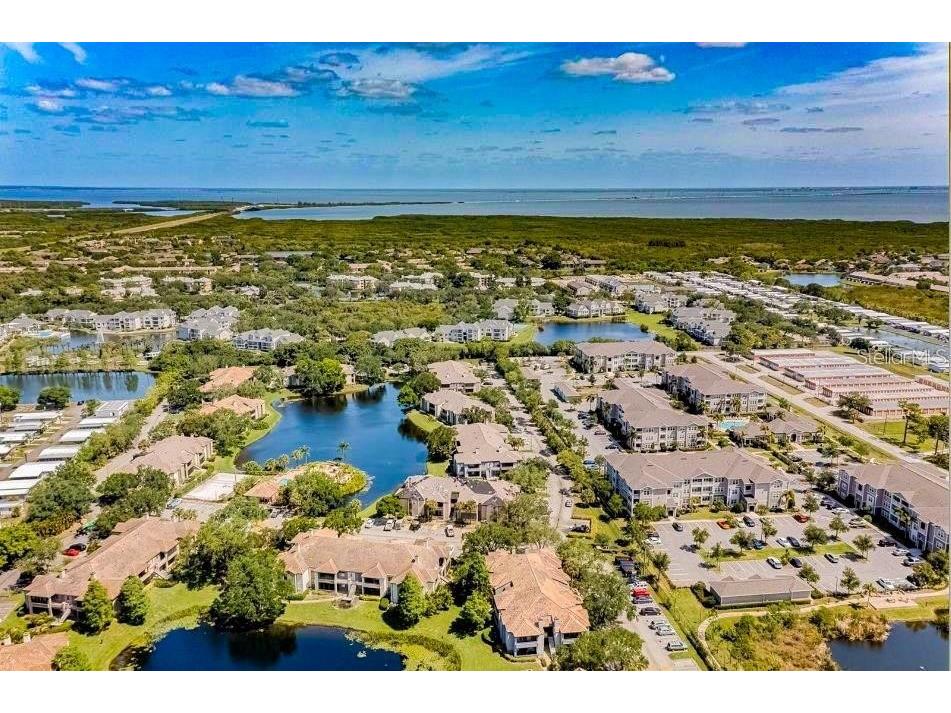 10265 Gandy Boulevard N #705 Saint Petersburg FL 33702 U8208286 image1