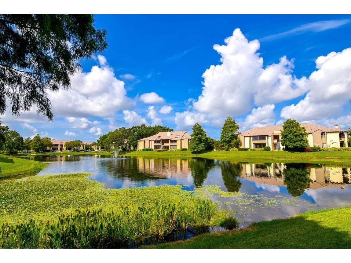 10265 Gandy Boulevard N #707 Saint Petersburg FL 33702 U8231337 image1